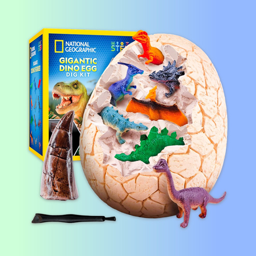 Dinosaur Egg Dig Kit
