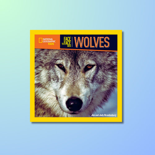 Face to Face With Wolves