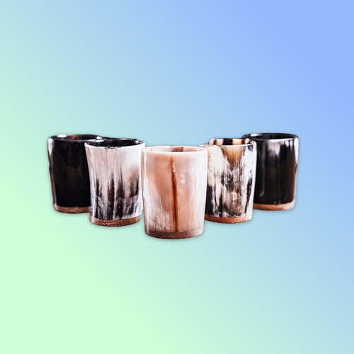 Viking Shotglass Set