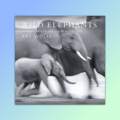 Elephant Photobook